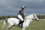 BVHT 140517  NXC -268