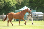 SBM_09070