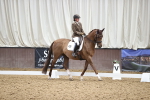 SBM_019562