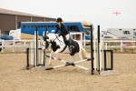 SBM_007119