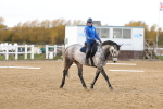 SBM_001381
