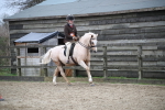 SBM_007329