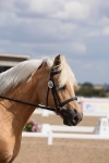 SBM_04035