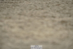 230708A-143310-03916