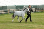 SBM_00561