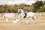 SBM_010784