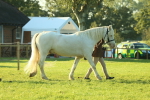 SBM_57294