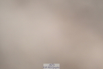 240611A-155829-00020