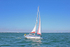 160806 CAMENA 402 Y92A1761_Edit
