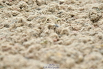 230630A-101553-00304