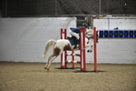 SJ6_9982