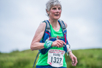 Tebay-730