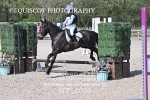 BPP_1036
