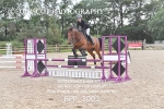 BPP_3002