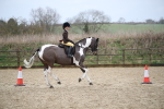 SBM_007915