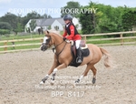 BPP_8417