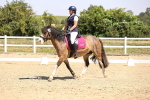 SBM_003966