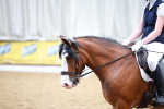 SBM_000508