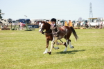 SBM_15563