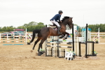 SBM_016207