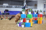 SBM_001441