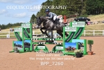 BPP_7260