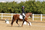 SBM_003662