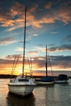 IMG_6030 Blakeney