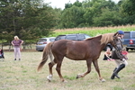 WJ6_6168