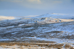 Look North
