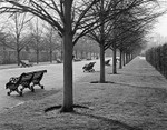 1386 - Regents Park Benches 1