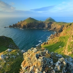 The Rumps