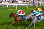230526-Race 7-Golden Strike-0700