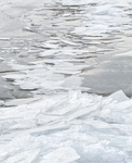 FREEZE-UP 2, 2019 - LAKE ERIE