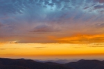 Skyline Yellows