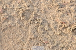 230511A-190323-01837