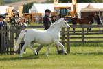SBM_00633