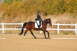 SBM_009255