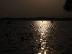 CHINA__1296