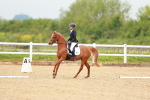 SBM_004694