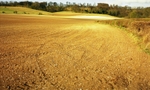 Howe Farm