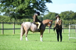 SBM_36708