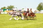 SBM_02655
