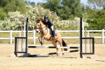 SBM_007559