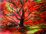 Red Maple (£150)