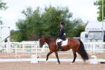 SBM_00262