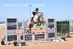 BPP_1753