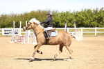 SBM_001491