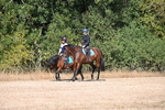 WJ6_7869