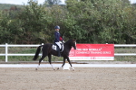 SBM_001274